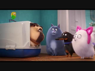 Gidget learns how to be a cat the secret life of pets 2 trailer (2019)