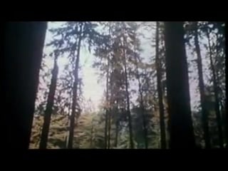 Dzień świra film pl