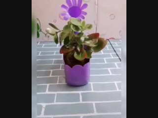 Serap ile elsanatlari 47260460 751909505185692 3089925787730575360 n