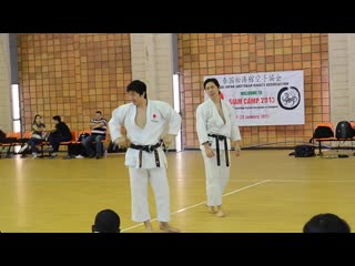 Siam camp 2013 part 4 chinte kata bunkai naka sensei