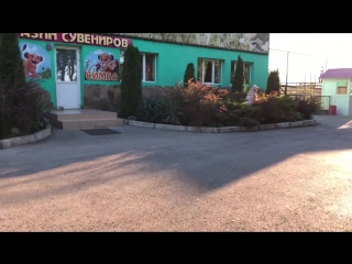 Вечерний тайган