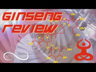 Panax ginseng review why 6 year red korean ginseng is the ethical hedonist's adaptogen