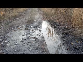 В томском лесочке