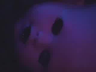 Violet stigmata the flesh xires (live,2004)