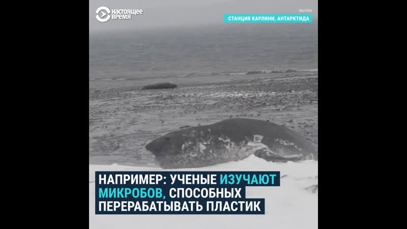 Микробы могут очистить почву, отравленную сливом топлива