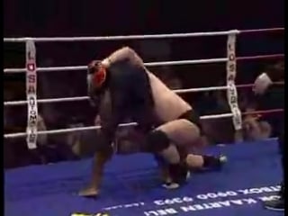 Melvin manhoef vs bob schreiber