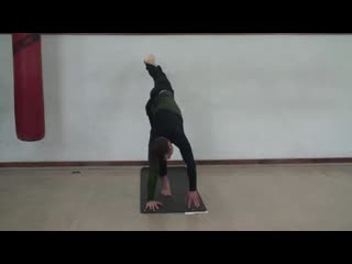 [артур паталах] 20 основных асан хатха йоги