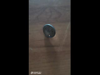 Sl mo vid 20200411 141253 mp4