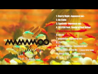 Starry night, egotistic, wind flower, gogobebe japanese version (highlight medley)