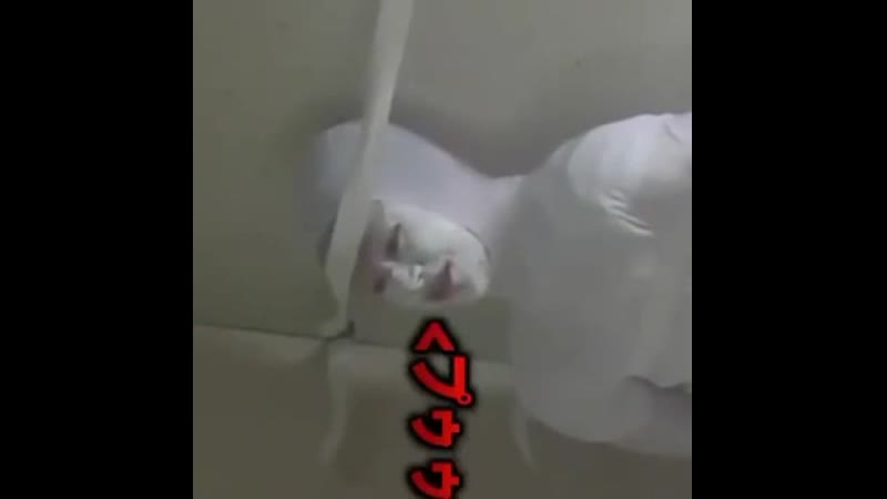 Всратые видеоролики