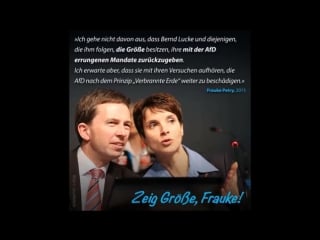 Das u boot frauke petry und ihr streben nach den fleischtöpfen der macht 1