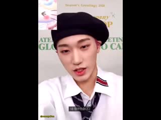 Season's greetings video call 201218