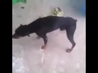 Подборка приколов 😁😁