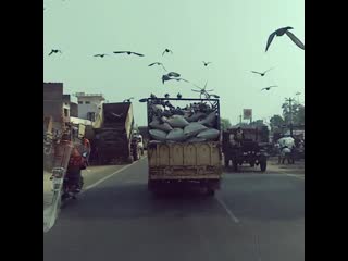 Видео от индия гид дели, джайпур, агра и другие города