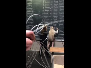 Margarita art 20200516 2 mp4