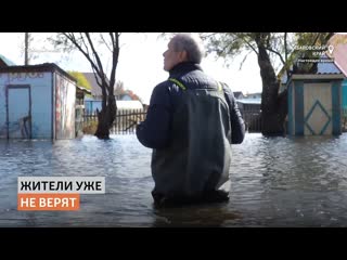 Дачники на митингах в поддержку фургала в хабаровске | сибирь реалии