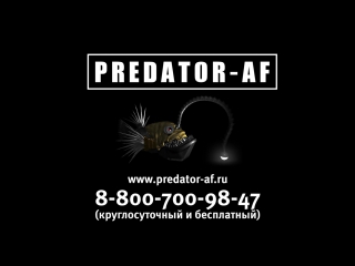 Электронная приманка для ловли рыбы predator af