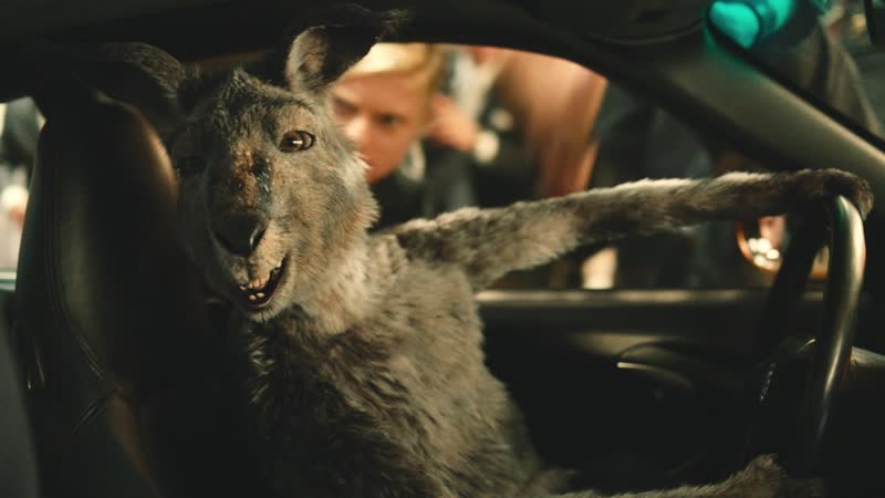 Осторожно, кенгуру! (18+) (нецензурная лексика)