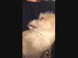 Lifestream melissa ponzio