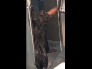 С легким паром👌🏻😀😀