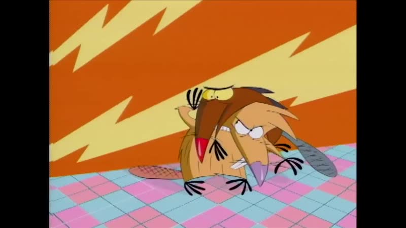 Крутые бобры