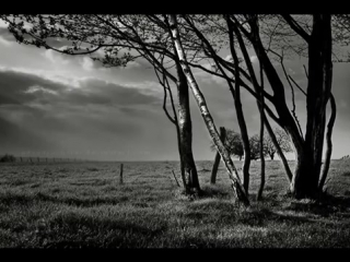 Alex monakhov feel lonely [360p]