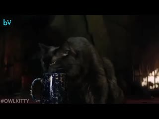 Owlkitty + ведьмак