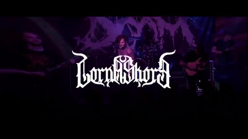 Recap from corpus christi, dallas, austin, tx