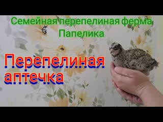 Перепелиная аптечка