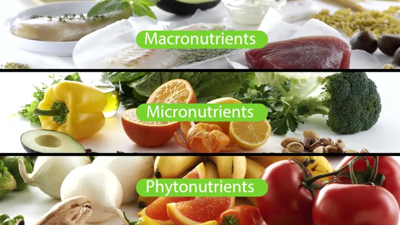 What supplements should i take the nutrilite foundational four amway (1)