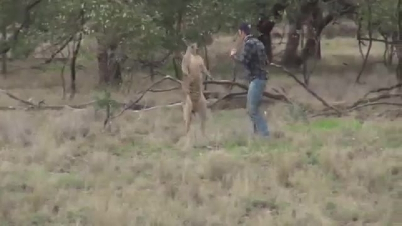 Угомонись есь жи (vhs video)