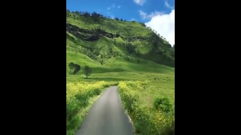 Национальный парк бромо тенггер семеру