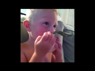 I don’t know if i’m annoyed or think it’s cute » vine by jenna joseph