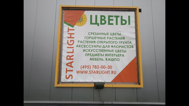 Делимобиль пользователи, много мата