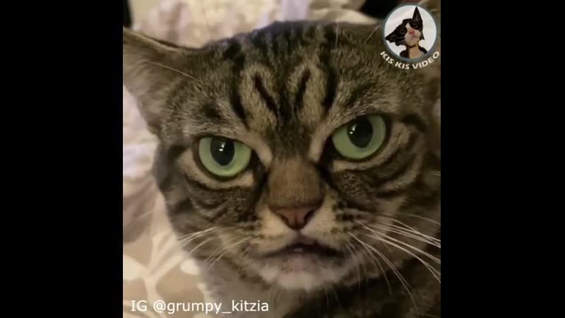 Да я такой серьезный, что в зеркале сам себе не улыбаюсь