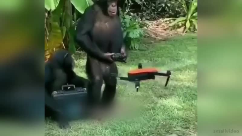 Сбой в матрице