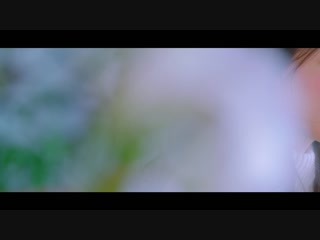 [mv] rothy blossom flower