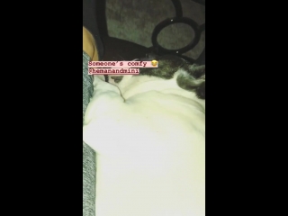 Natalie eva marie ig stories