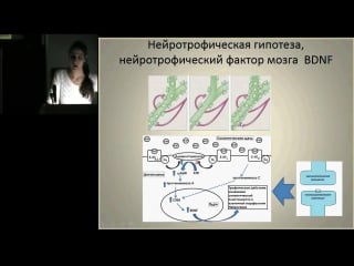Елизавета куликова «депрессия׃ состояние души или нарушение мозга؟»