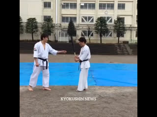 Показательные выступления в киокушине