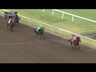 Champagne room wins remington park oaks