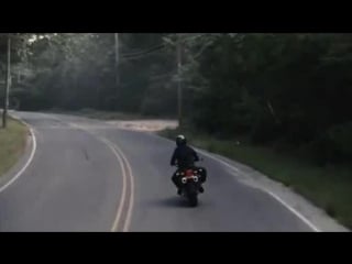 All those sunflowers | trailer