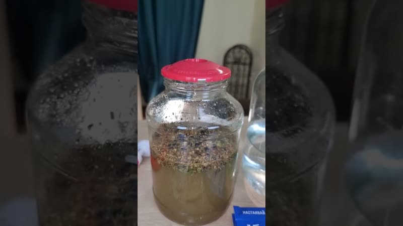 Настойка графа разумовского домашняя настойка на самогоне! рецепт настойки на водке и спирте