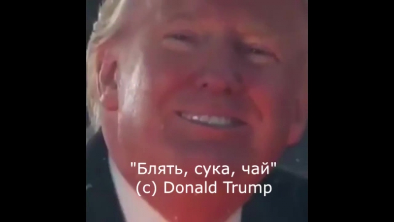 Цитата