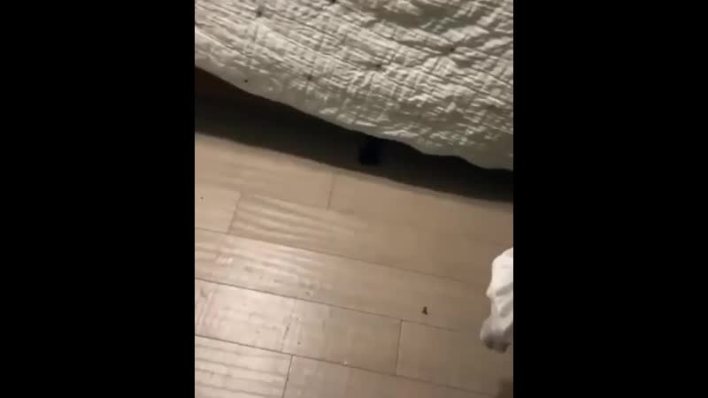 Ахахах пацаны, не дрочите в носок пж