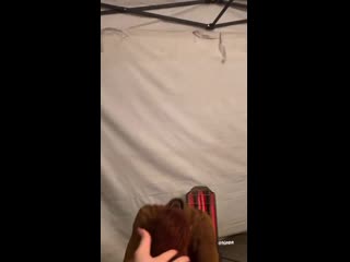 Инстасторис камилы мендес