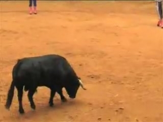Corrida de toros