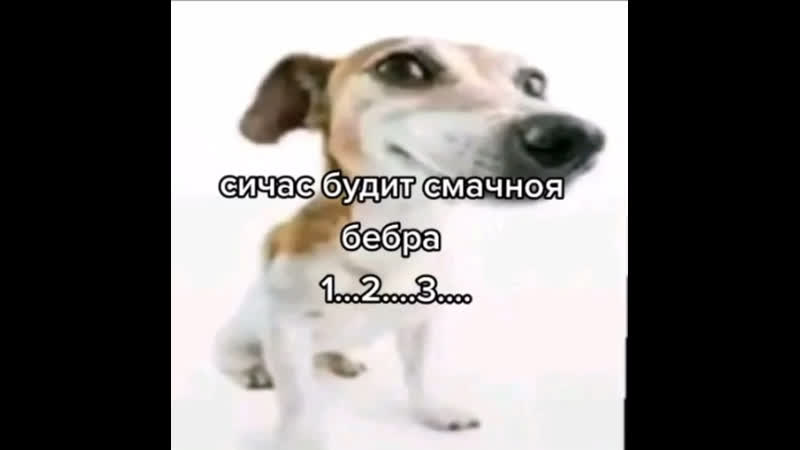 Смачная бебра