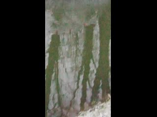 Vid 20201126 083058 mp4