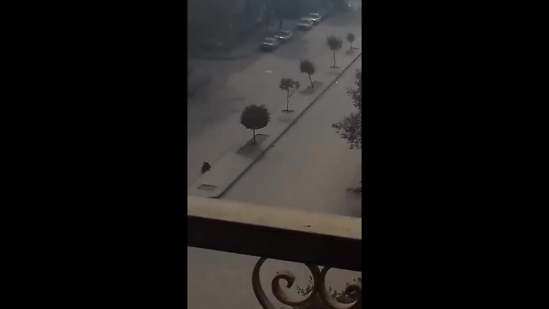 Египтяне растерзали одиного джихадиста